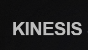 Кинезис, ООО